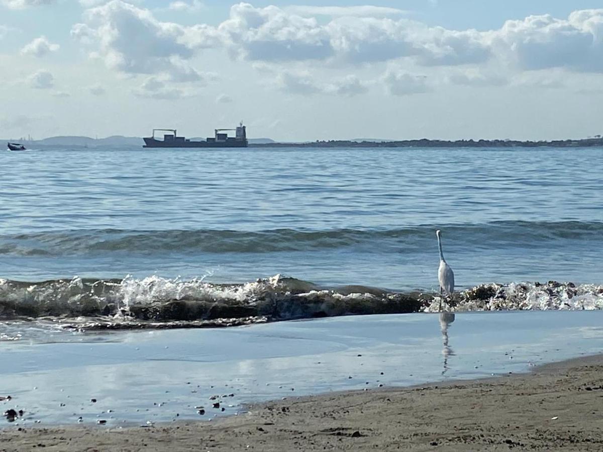 Apto Exclusivo En Bocagrande Frente Al Mar Cartagena מראה חיצוני תמונה